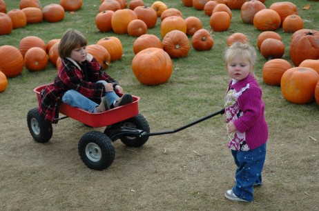 Pumpkin picking