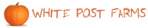 The best Fall Festival in Long Island at white post farms